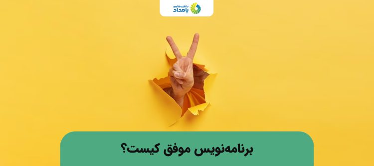 یک برنامه نویس موفق چه کسی است