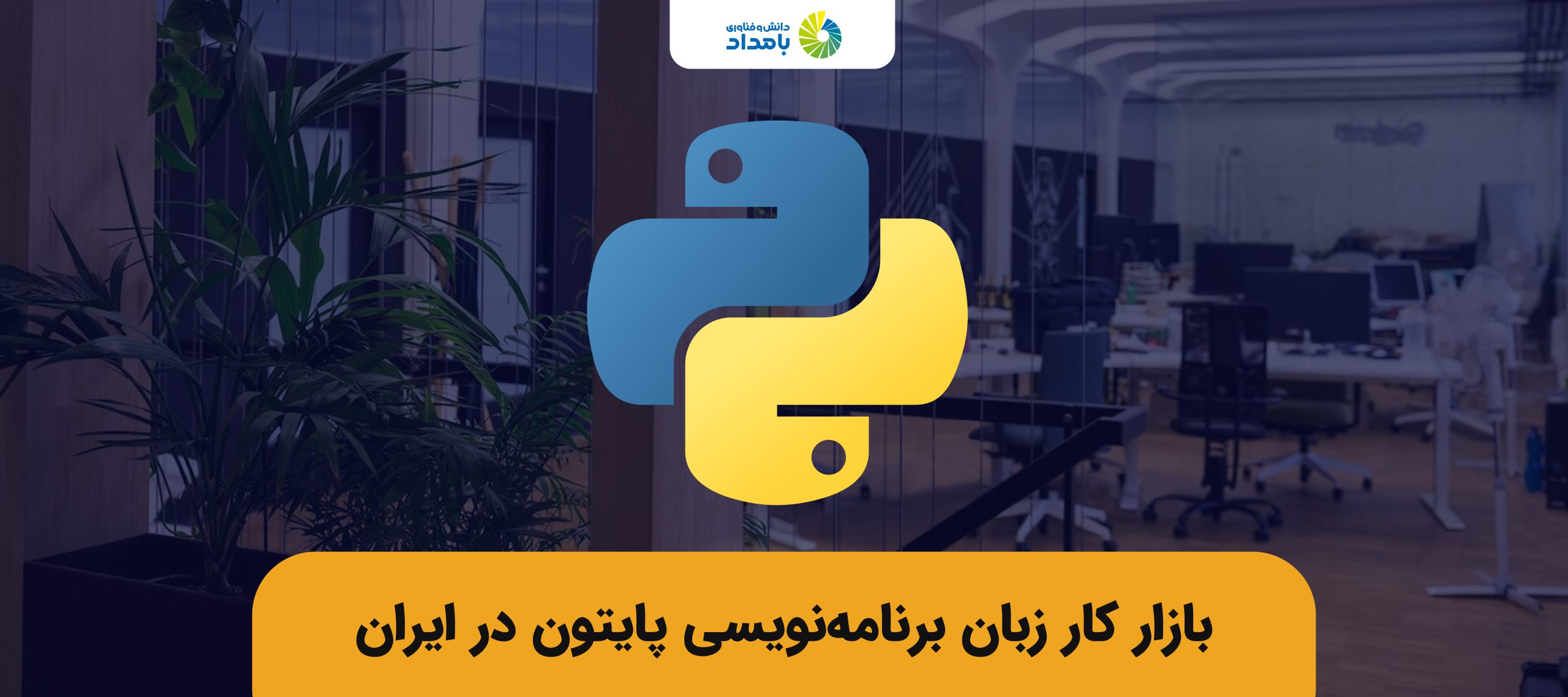 بازار کار زبان برنامه نویسی پایتون در ایران به چه شکل است