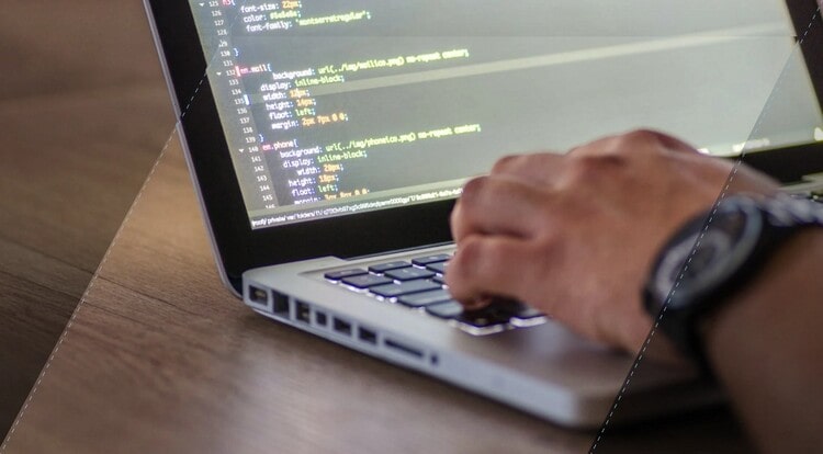 پیدا کردن باگ نرم افزاری و کسب دآمد