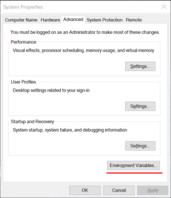 Environment Variables