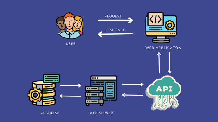 کدهای وضعیت API در پایتون 
